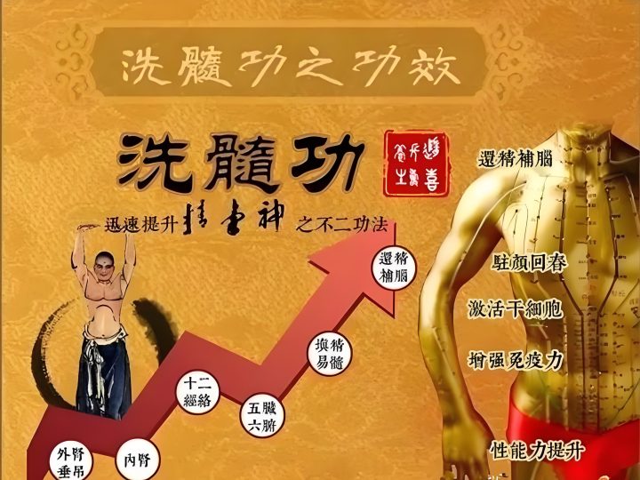 易筋洗髓健身气功视频课程,垂吊课程,易筋经-青知资源