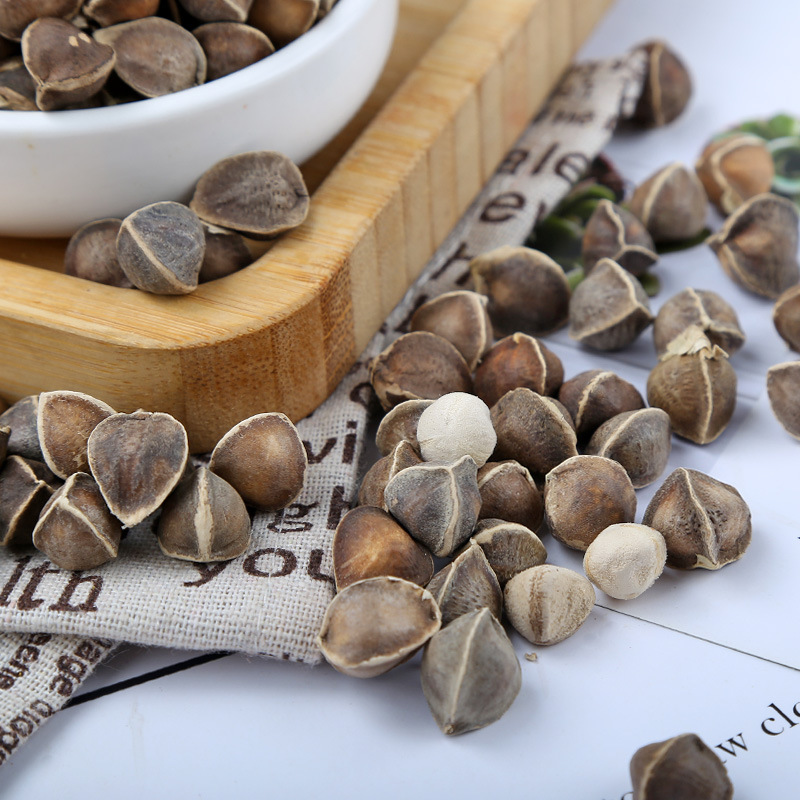 青知资源-个人成长知识分享社群